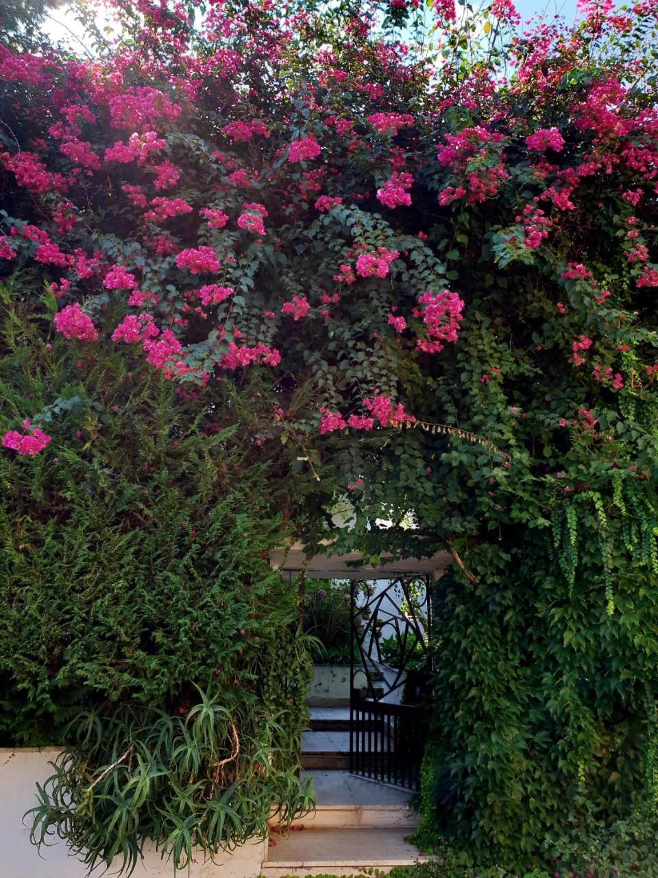 B&B Il Giardino Di Villa Anna Trecase Zewnętrze zdjęcie